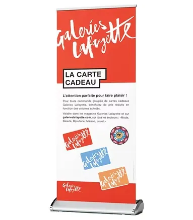 projet-client-creation-rollup-pme-galeries-lafayette.webp